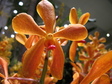 changi1